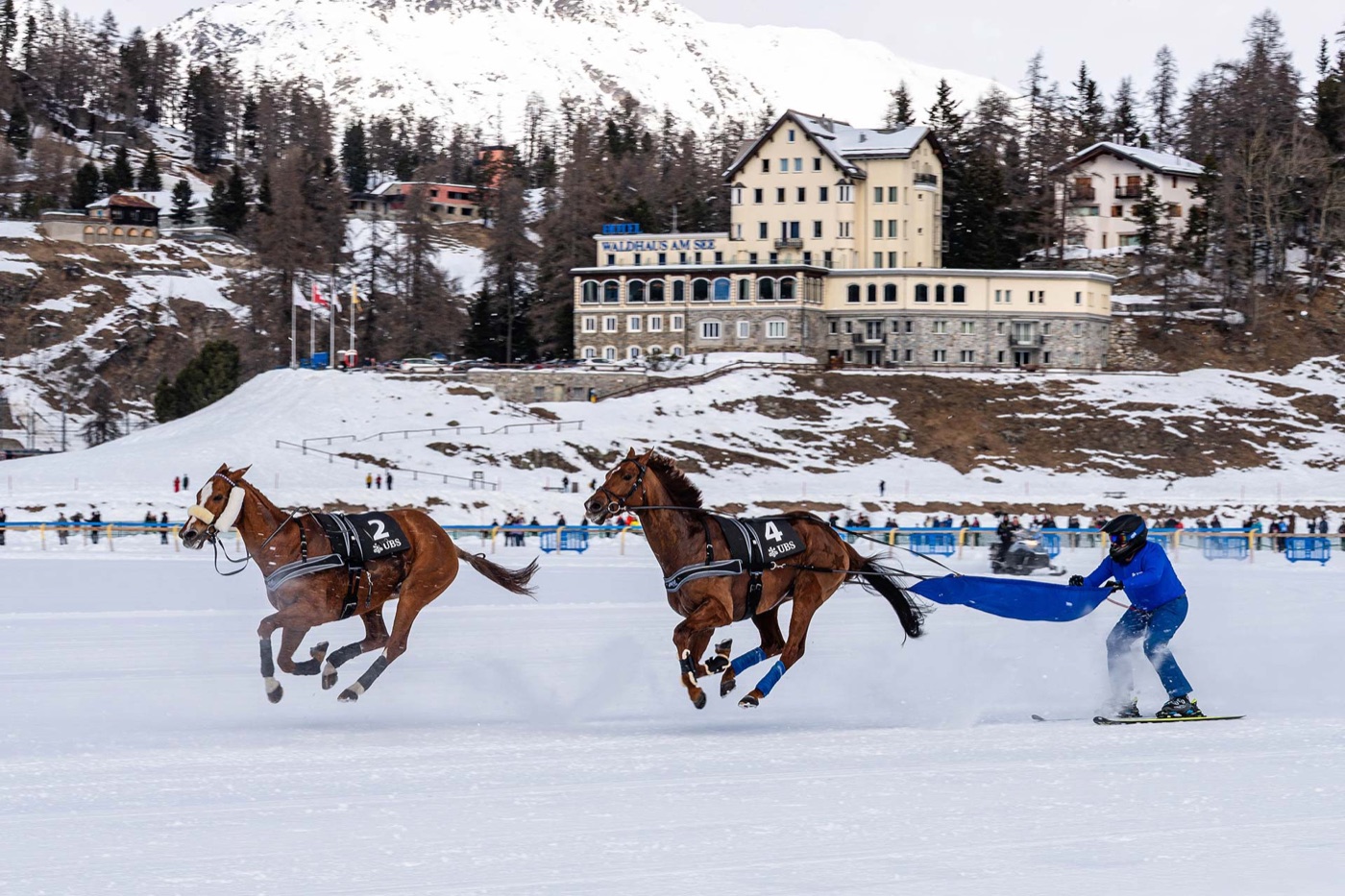 A skier in blue towed on skis by a galloping racehorse across the snow on Lake St. Moritz, a second horse running alongside without its skier, the Waldhaus am See hotel and snowy larch slopes behind